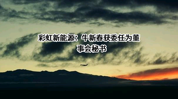 彩虹集团新能源股份有限公司