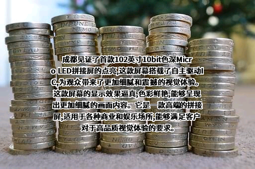成都辰显光电有限公司