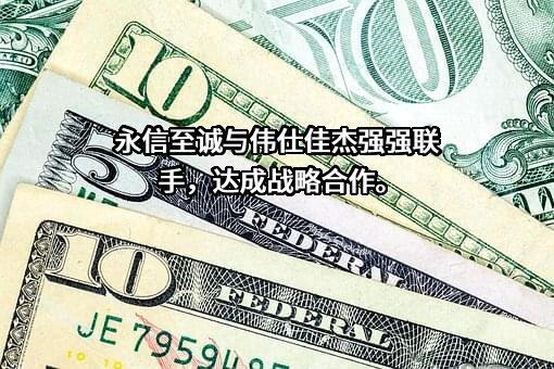 伟仕佳杰控股有限公司