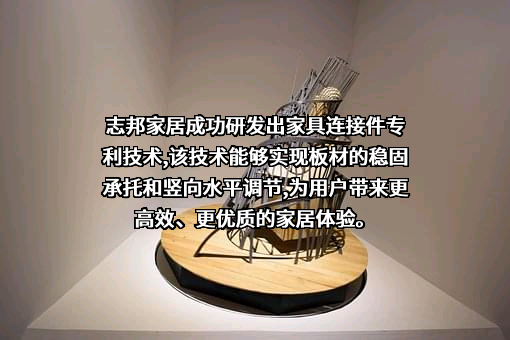 志邦家居股份有限公司