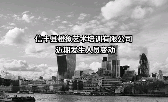 信丰县橙象艺术培训有限公司