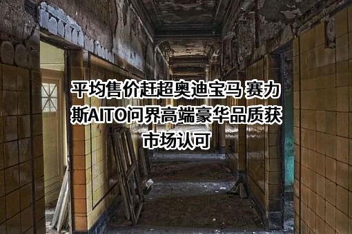 上海赛力斯汽车销售服务有限公司