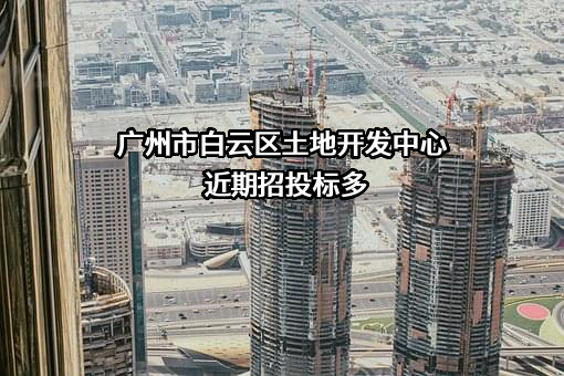 广州市白云区土地开发中心