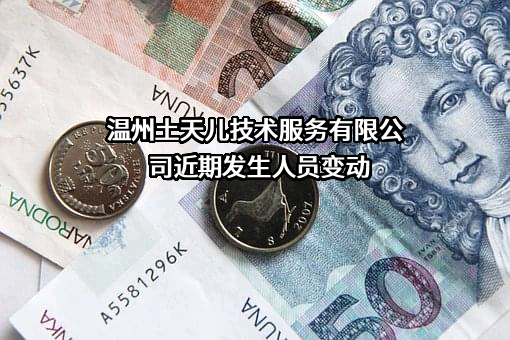 温州土天儿技术服务有限公司