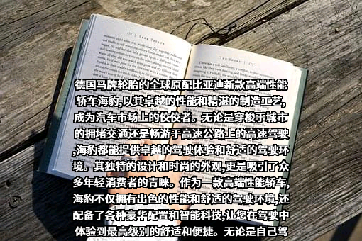 比亚迪股份有限公司
