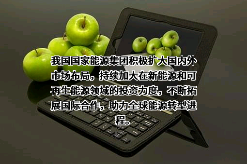 国家能源投资集团有限责任公司