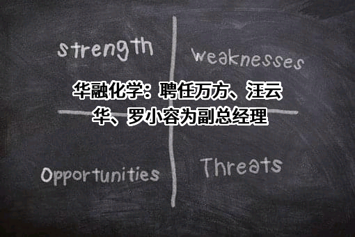华融化学股份有限公司