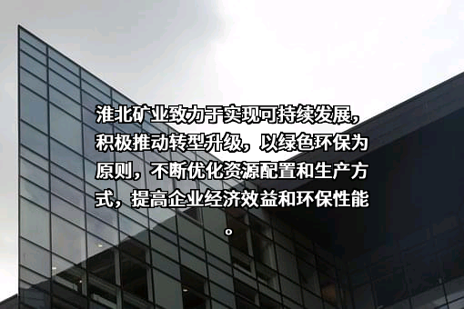 淮北矿业控股股份有限公司