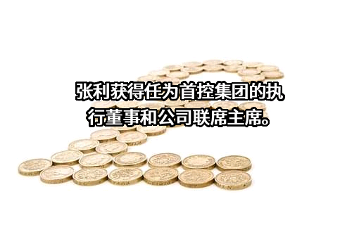 中国首控集团有限公司