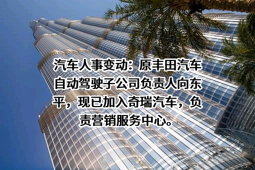 奇瑞汽车股份有限公司