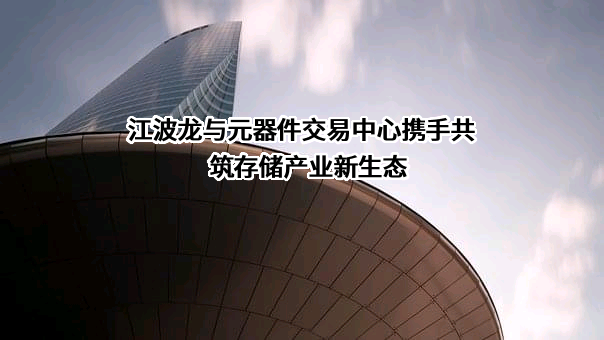 电子元器件和集成电路国际交易中心股份有限公司