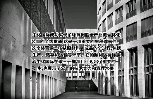 中化国际（控股）股份有限公司