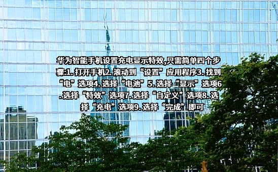 华为技术有限公司