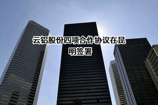 云南铝业股份有限公司