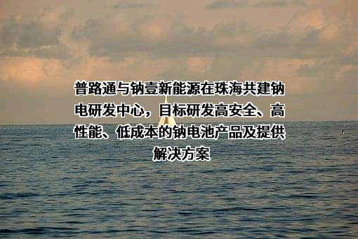 深圳市普路通供应链管理股份有限公司