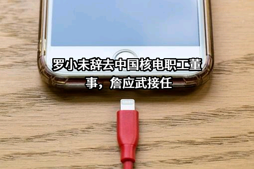 中国核能电力股份有限公司