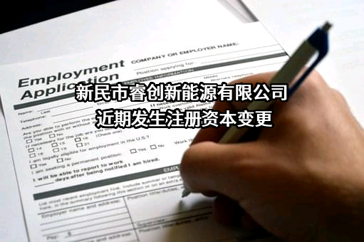 新民市睿创新能源有限公司