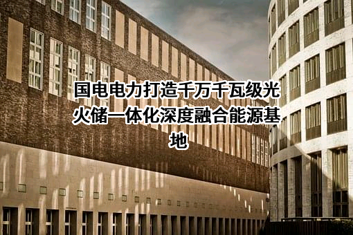 国电电力发展股份有限公司