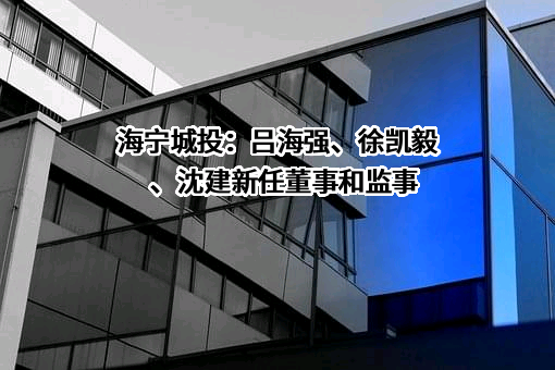 海宁城投：吕海强、徐凯毅、沈建新任董事和监事