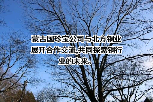 北方铜业（山西）股份有限公司