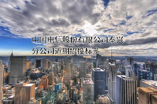 中国电信股份有限公司泰兴分公司