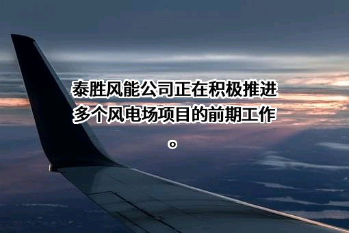 上海泰胜风能装备股份有限公司