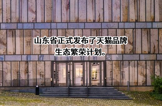 浙江天猫技术有限公司