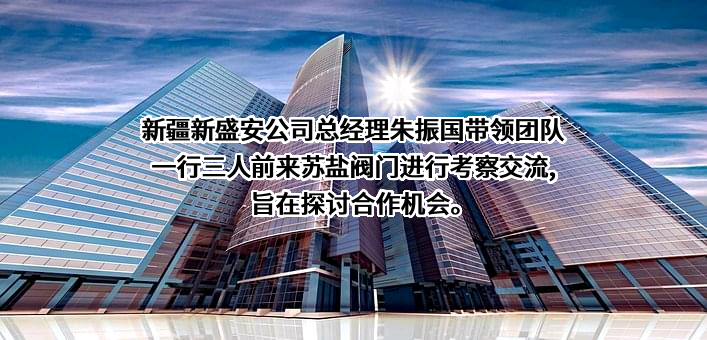 上海苏盐阀门有限公司