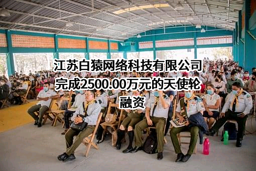 江苏白猿网络科技有限公司完成2500.00万元的天使轮融资