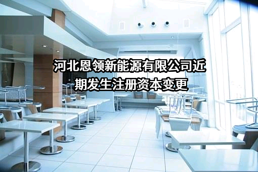 河北恩领新能源有限公司