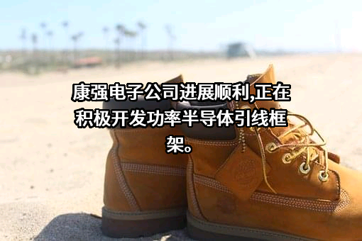 宁波康强电子股份有限公司