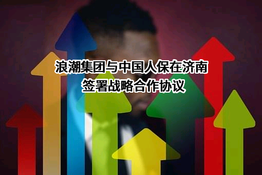 浪潮集团有限公司