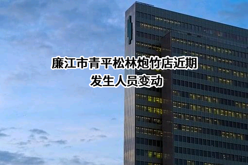 廉江市青平松林炮竹店