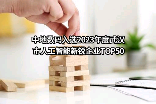 武汉市高新技术产业协会