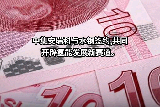 中集安瑞科控股有限公司