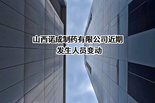 山西诺成制药有限公司