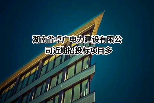 湖南省卓广电力建设有限公司近期招投标项目多