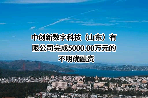 中创新数字科技（山东）有限公司
