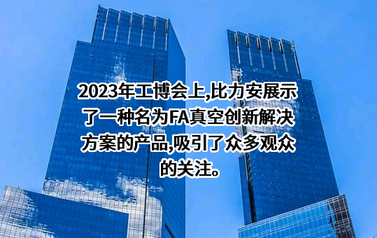 福建比力安科技有限公司