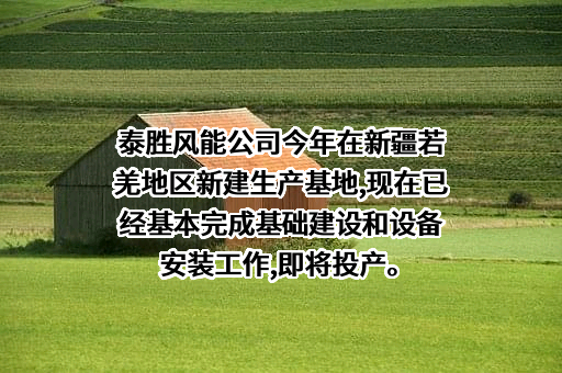 上海泰胜风能装备股份有限公司