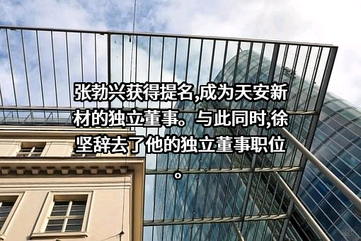 广东天安新材料股份有限公司