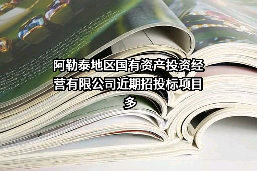 阿勒泰地区国有资产投资经营有限公司近期招投标项目多