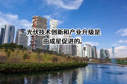 福建成星能源有限公司