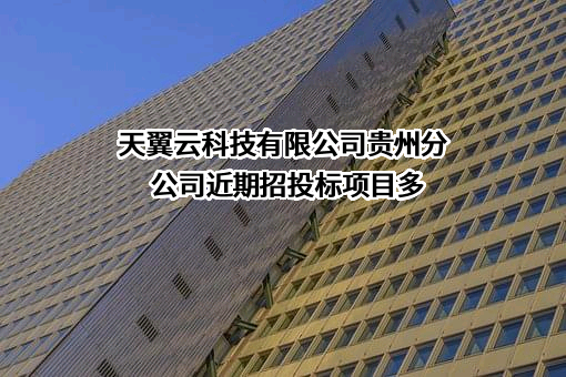 天翼云科技有限公司贵州分公司近期招投标项目多