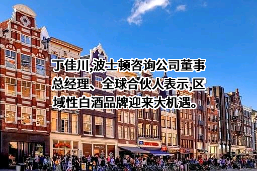 波士顿咨询（上海）有限公司