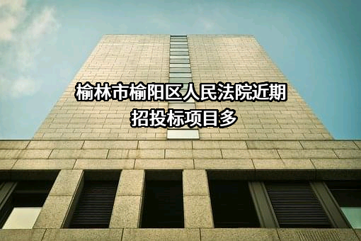 榆林市榆阳区人民法院近期招投标项目多