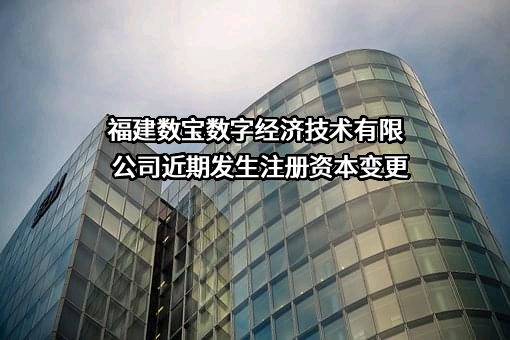 福建数宝数字经济技术有限公司