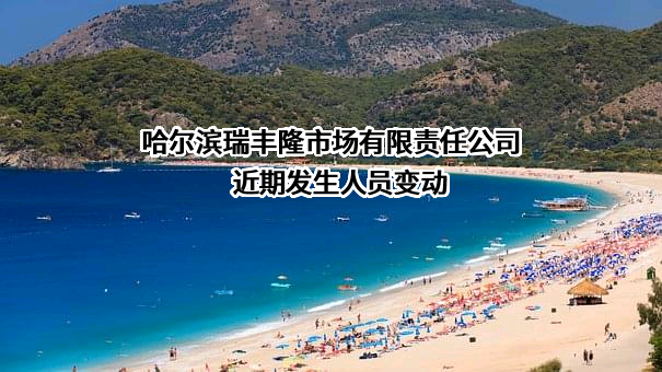 哈尔滨瑞丰隆市场有限责任公司