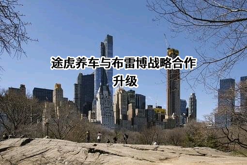上海阑途信息技术有限公司