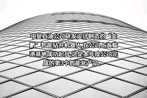 中曼石油天然气集团股份有限公司